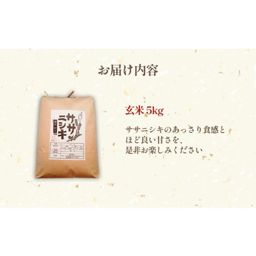 ふるさと納税 宮城県 石巻市 令和5年産 特別栽培米 ササニシキ 玄米 5kg