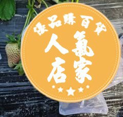 防蟲保護袋 果袋套 草莓網套專用套袋草莓袋子防蟲水保護包果袋櫻桃套袋杏袋李子套袋