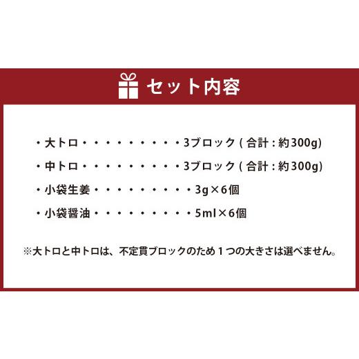 ふるさと納税 熊本県 菊池市 贅沢な 霜降り 馬刺しの食べ比べ 600g(大トロ馬刺し・中トロ馬刺し 各300g) 馬肉