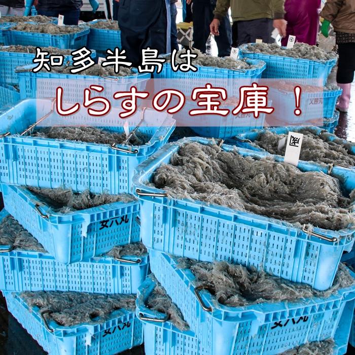 送料無料 しらす (ちりめん) ５００g (愛知県産)