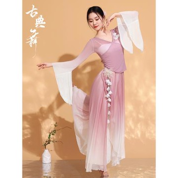 中國風古典舞服裝仙氣飄逸演出服紗衣練功服漢服舞蹈表演服秋冬