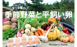 季節の野菜詰め合わせ（5～6種）と平飼い卵セット！農薬不使用だから安心安全！