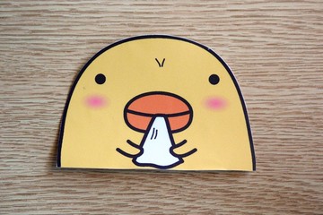 Bucute貼紙不只是貼紙/行李箱防水PVC貼紙/開關貼紙/1組6張(小)