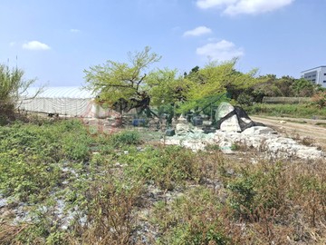 新吉工業旁都內農地｜台南市安南區安吉段