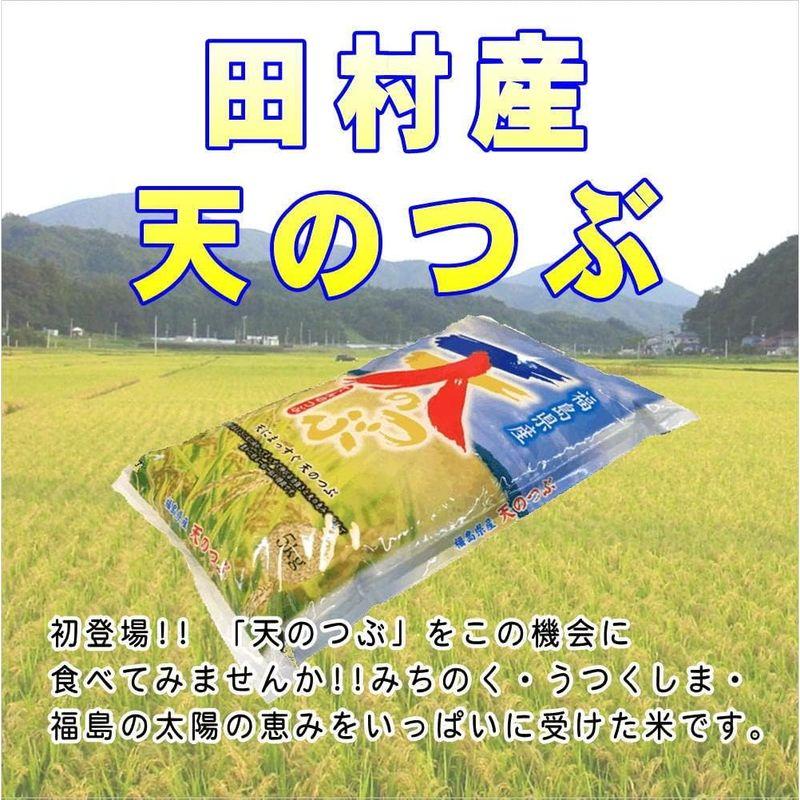 福島県田村産 白米 天のつぶ 5kg 令和4年産