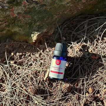 壹皂堂 第一脈輪海底輪-雪松單方精油