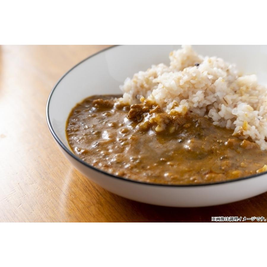 キーマカレー　＆　グリーンカレー　会員価格500円　コンビセット　2人前　本格派　レトルト　スパイス　お取り寄せ　メール便商品　お試しグルメギフト