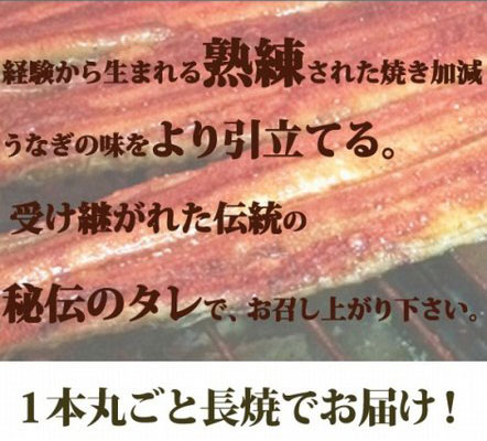 大型サイズ ふっくら柔らか国産うなぎ蒲焼き 2尾◇