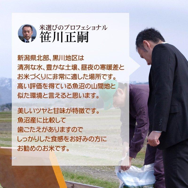 無洗米 棚田米 新潟産コシヒカリ 10kg  米 お米   高級銘柄米 新潟県産 令和5年産 新米   奥胎内 棚田 山麓米 雪解けの水 送料無料