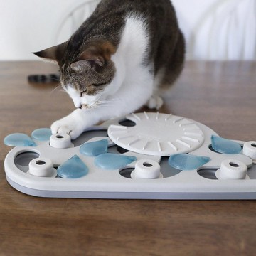 【瑞典益智玩具】趣味貓-水滴轉盤 LV3 寵物玩具