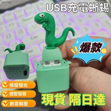 桃園出貨✨跨境蜥蜴小青蛇恐龍語音發光發聲解壓小擺件充電款小動物有趣減壓 語音搞怪掛件解壓玩具鑰匙扣 海鷗按鍵 海鷗