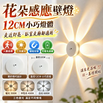 台灣熱賣👑人體感應燈 遙控感應燈 LED感應燈 壁掛磁吸感應燈 磁吸LED燈 LED燈 感應燈 氛圍燈 櫥櫃燈 玄關燈