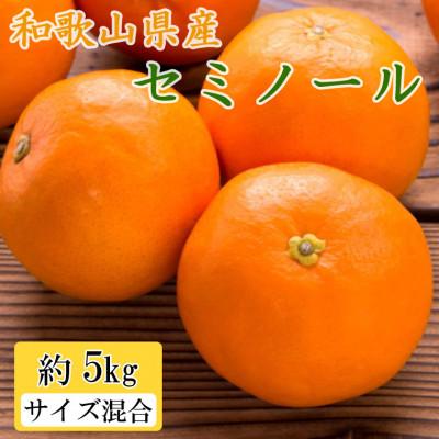 ふるさと納税 紀の川市 和歌山県産セミノールオレンジ約5kg(サイズ混合　秀品) (紀の川市)