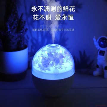 桃園出貨🍂永生花球香薰加溼器家用宿舍以及辦公室車載七彩夜燈除菌淨化空氣