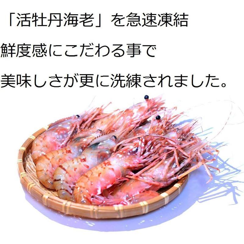 ボタンエビ 天然 特大 生ぼたんえび お刺身 お寿司 海鮮丼 (500g約8本前後)