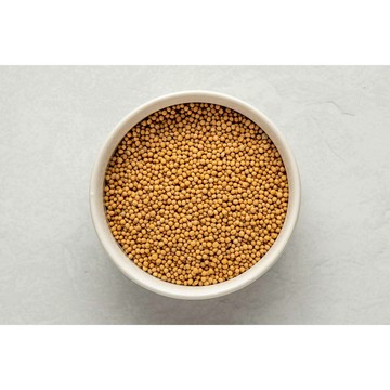 黃芥末子 芥末子 芥末子粉