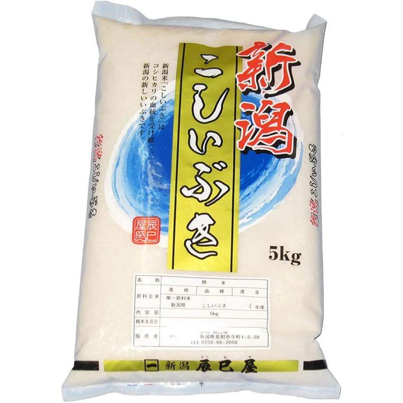 精米令和4年産 新潟県産こしいぶき 白米 5kg 新潟辰巳屋