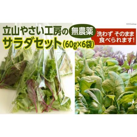 ふるさと納税 立山やさい工房のサラダセット（60g×6袋）＜ホッコ―商事＞ 富山県立山町