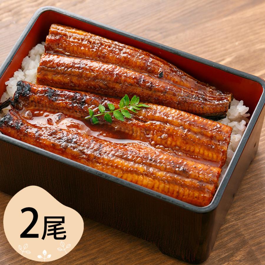 うなぎ 蒲焼き 四万十うなぎ 蒲焼 2尾セット   お取り寄せ お土産 ギフト プレゼント 特産品 お歳暮 おすすめ  