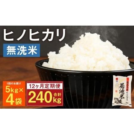 ふるさと納税 熊本県菊池産 ヒノヒカリ 無洗米 計240kg（5kg×4袋×12回）精米 お米 白米 熊本県菊池市