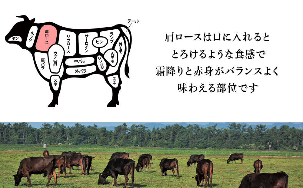 北海道 白老産 黒毛和牛 肩ロース すき焼き 700g (3・4人前)  BS023