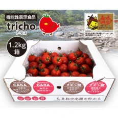 高糖度フルーツトマト「tricho(トリコ)」1.2kg