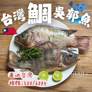 台灣三去吳郭魚 台灣三去台灣鯛 重量500/600g 包10%保護冰