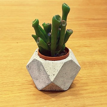 【野草不野】空浮石植栽 / 磁吸水泥盆栽