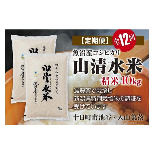 ふるさと納税 新潟県 十日町市 精米10kg　新潟県魚沼産コシヒカリ「山清水米」