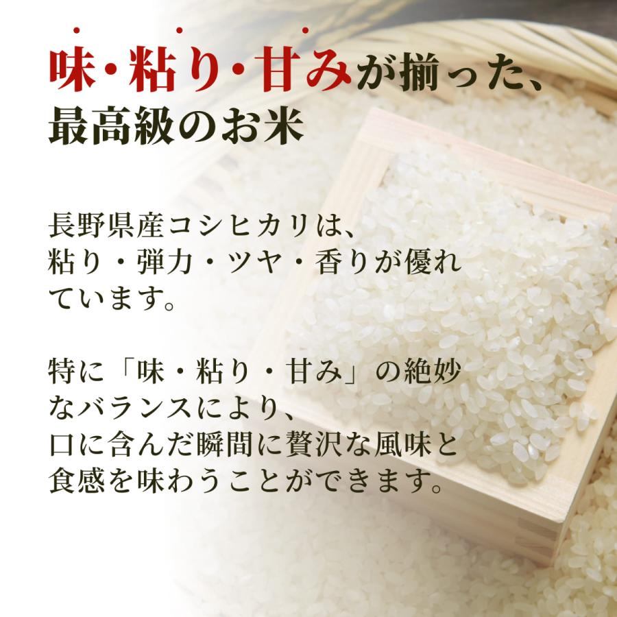  長野県産コシヒカリ 20kg 冷めても美味しいお米 農家直送 令和5年産 白米 お米 おこめ 精米 国産 20キロ（10kg×2袋）