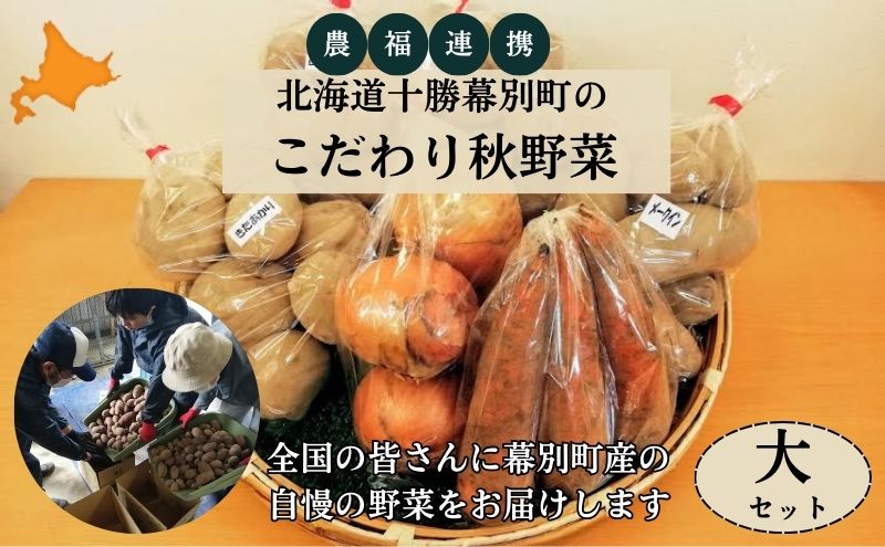 北海道十勝幕別町のこだわり秋野菜　大セット