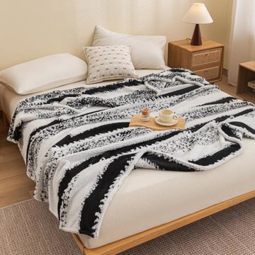 跨境亞馬云紋絨雙色提花學生陽離子柔云毯蓋毯單雙人兒童毛毯批發