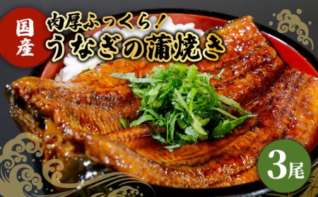 国産うなぎ 蒲焼き 3尾鰻 ウナギ[HBV002]