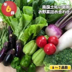 ふるさと納税 定期便 野菜 6〜7品目 年6回 詰め合わせ セット 新鮮 南国土佐の新鮮お野菜詰め合わせ お楽しみ 生産者応援 高知県須崎市