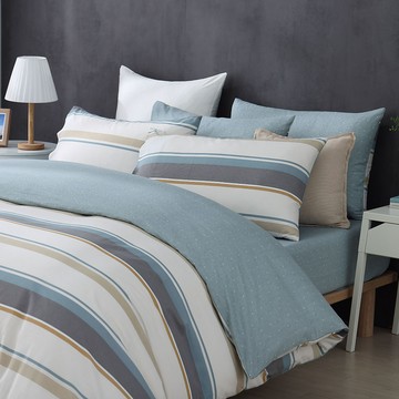 雙人薄被套/ 100%精梳純棉 / 純棉 / 艾蒙 [鴻宇] 台灣製 - C20138