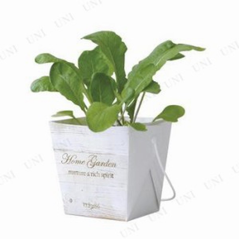 ベジコンテナ ラディッシュ 栽培キット 室内 家庭菜園 野菜 インテリア雑貨 室内園芸 栽培セット キッチン菜園 通販 Lineポイント最大1 0 Get Lineショッピング