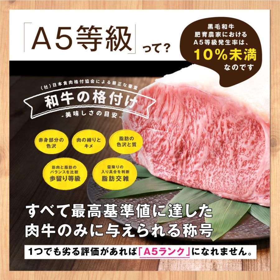 BBQ 食材 ステーキ 肉 牛肉 A5 黒毛和牛 リブロースステーキ 250g