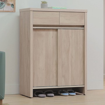 文創集 曼特2.7尺二抽推門鞋櫃(二色可選)-81x41x114cm免組