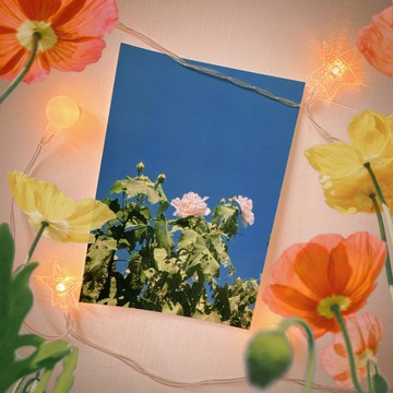 have a nice day台灣趣明信片/酷卡/樟山寺花花