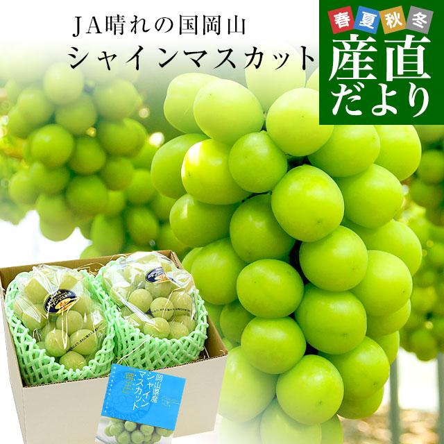 岡山県産　JA晴れの国岡山　クール便　ブドウ　シャインマスカット　青秀　晴王　送料無料　約1.2キロ(600g×2房)　葡萄　ぶどう　LINEショッピング