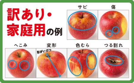 りんご サンふじ 家庭用 5kg 沖縄県への配送不可 2023年12月上旬頃から2024年2月上旬頃まで順次発送予定 町田さんちのりんご 長野県 飯綱町 [0604]