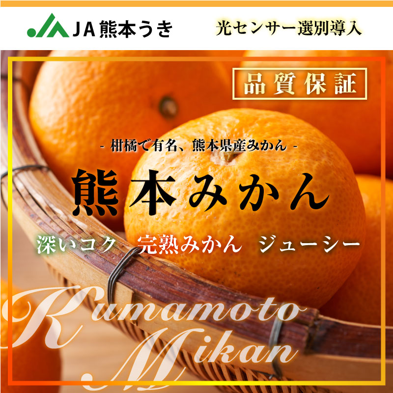 [予約 2023年 12月25日頃から発送] 熊本みかん Sサイズ 約5kg 熊本県産 熊本 JA熊本うき 早生 中生 晩生 くまもと 高糖度 ミカン 産地箱 冬ギフト お歳暮 御歳暮