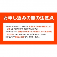 青秀以上 紀州有田産 はるみ 約5kg（Lサイズ）《2024年1月下旬-3月上旬頃より順次出荷》和歌山県 日高川町 フルーツ 果物 はるみ