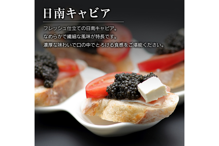 日南CAVIAR「キャビア」計8g(4g×2個)　魚　魚介　国産 BB19-191