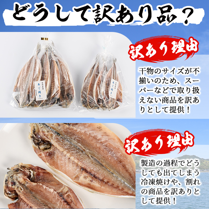 ＜訳あり＞岩田水産の「門川産訳あり干物」(合計3.2kg以上・5種以上)