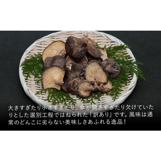 ふるさと納税 大分県 中津市 乾燥椎茸 訳あり 椎茸100g×5パック 乾しいたけ 干し椎茸 干ししいたけ 乾燥しいたけ 干しシイタケ 原木 大分県産 九州産 中津市 …