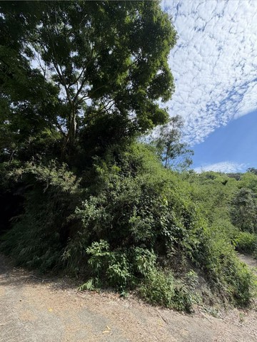 獨家ㄧ甲地不用500萬霧峰峰谷國小有水水電｜台中市霧峰區萬斗六段