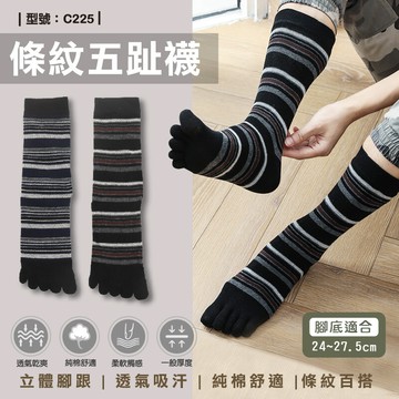 條紋五趾襪男襪/中筒/男襪/女襪/五趾襪/純棉/條紋/中筒襪/男生襪子/五指襪/型號:c225