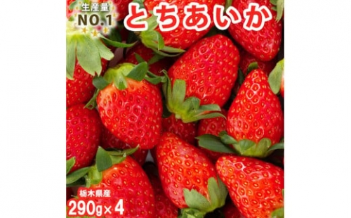 とちあいか 290g×4パック※2023年11月上旬頃より順次発送予定