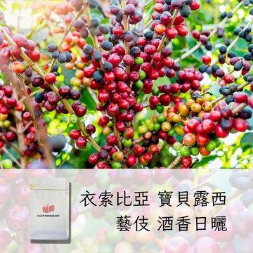 衣索比亞 寶貝露西 藝伎 酒香日曬 淺焙 (半磅)【柏克斯咖啡】